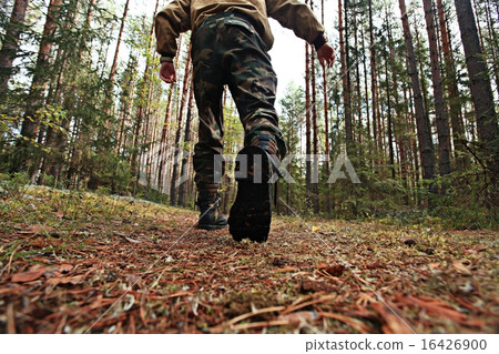 feet in shoes autumn forest hike 16426900