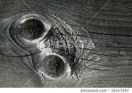 gray knotty wood texture gray knotty wood texture 16427047