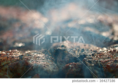 grilled meat skewers, barbecue grilled meat skewers, barbecue 16427186