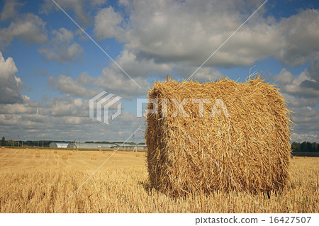 twist hay field cleaning twist hay field cleaning 16427507