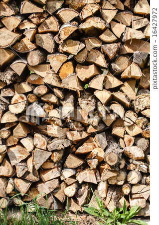Dry firewood Dry firewood 16427972