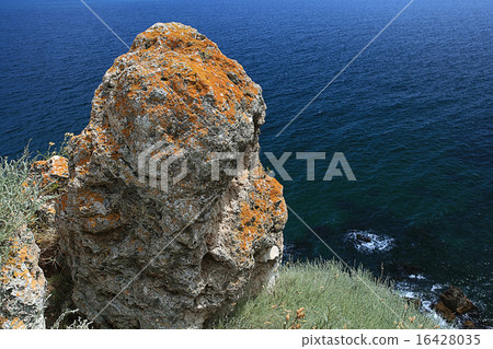 rock sea cliff rocks 16428035