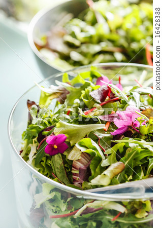 fresh salad 16428388