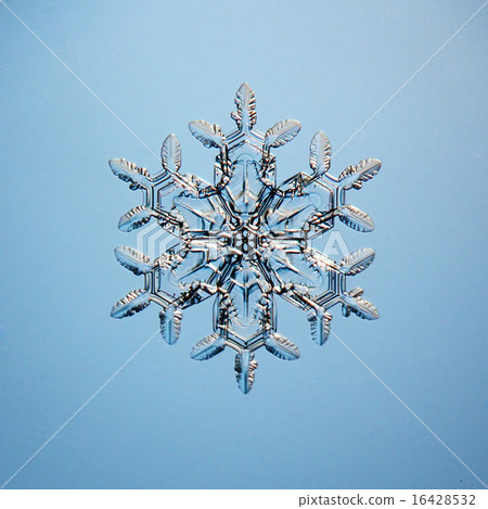 macro snowflake ice crystals present natural macro snowflake ice crystals present natural 16428532