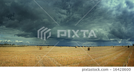 panorama of autumn landscape in the sky clouds clouds in the field of agriculture 16428600