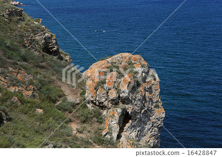 rock sea cliff rocks 16428847