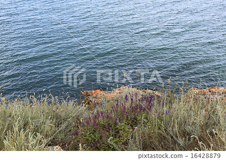 rock sea cliff rocks rock sea cliff rocks 16428879