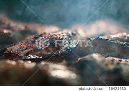 grilled meat skewers, barbecue grilled meat skewers, barbecue 16428880