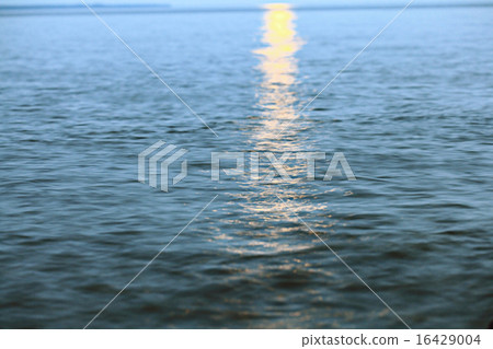 texture water 16429004