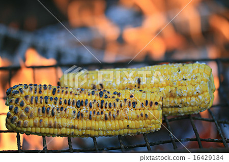corn grill corn grill 16429184