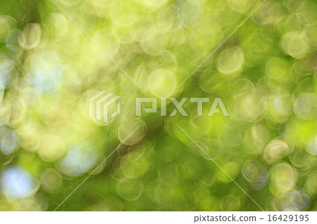 golden bokeh background golden bokeh background 16429195