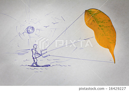 concept autumn sport sail 16429227