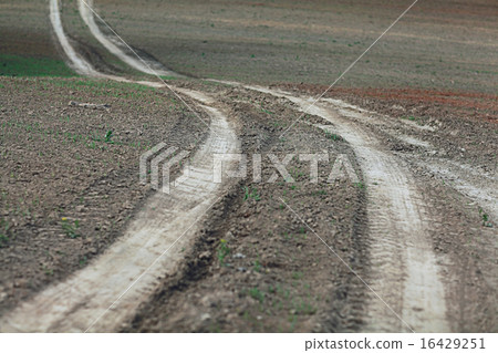 road by a wheat field landscape road by a wheat field landscape 16429251