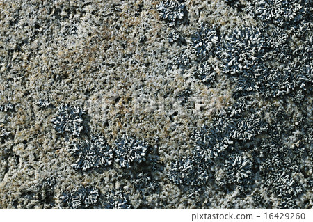 texture of granite stone texture of granite stone 16429260