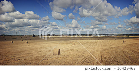 lay hay on field clouds sun lay hay on field clouds sun 16429462