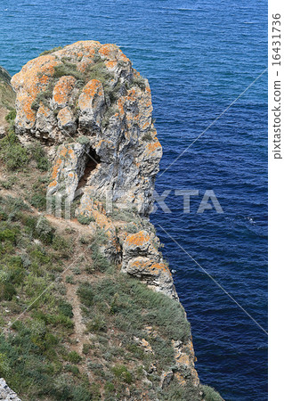 rock sea cliff rocks 16431736