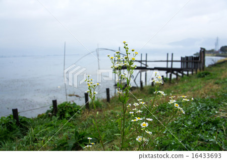Four hands of Lake Suwa Four hands of Lake Suwa 16433693