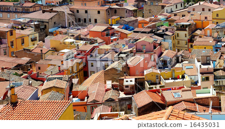 Colorful houses of Bosa town 16435031