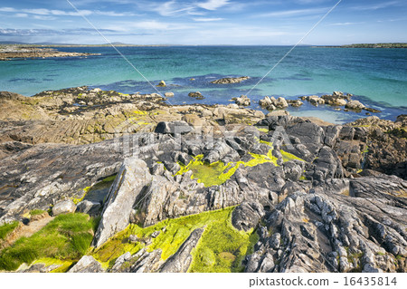 ocean ireland ocean ireland 16435814