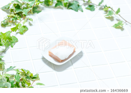巴士圖像（瓷磚，肥皂，盆栽肥皂盒，常春藤） 16436669
