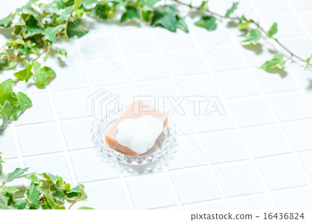 Bus image (tile, soap, glass soap dish, ivy) 16436824