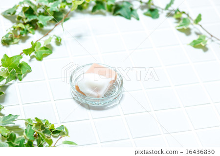 Bus image (tile, soap, glass soap dish, ivy) Bus image (tile, soap, glass soap dish, ivy) 16436830