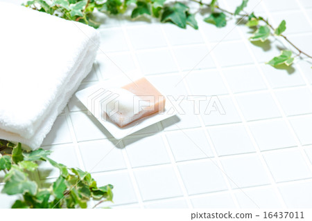 Bus image (tile, soap, ceramic soap dish, towel, ivy) 16437011