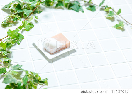 Bus image (tile, soap, potted soap dish, ivy) 16437012