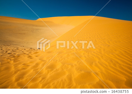 Mui Ne Sand Dunes, Vietnam 16438755