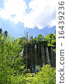 Nature  16439236