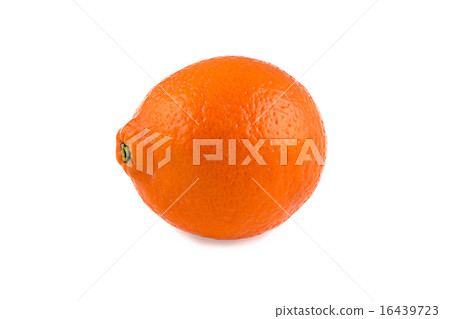Image of orange minneola Image of orange minneola 16439723