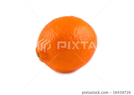 Image of ripen orange minneola Image of ripen orange minneola 16439726