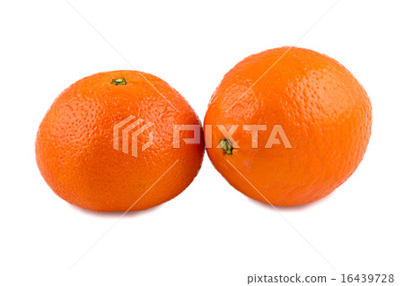 Photo of tangerine and minneola 16439728