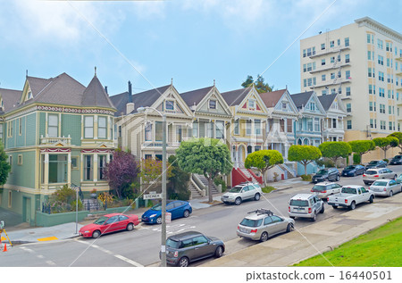 The Painted Ladies, San Francisco, USA 16440501