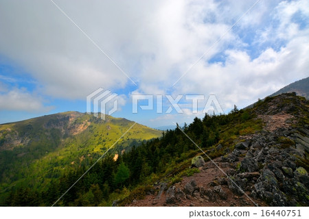 攀登青山/ Negikake山(16) 攀登青山/ Negikake山(16) 16440751