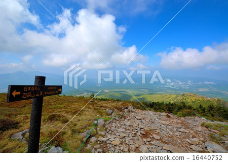 攀登青山/ Negikake山(17) 攀登青山/ Negikake山(17) 16440752