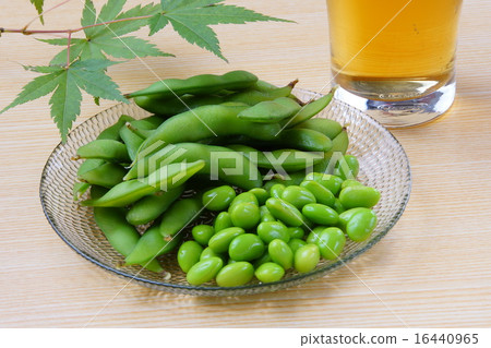 毛豆 毛豆 16440965