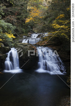 Taki Valley 16440969