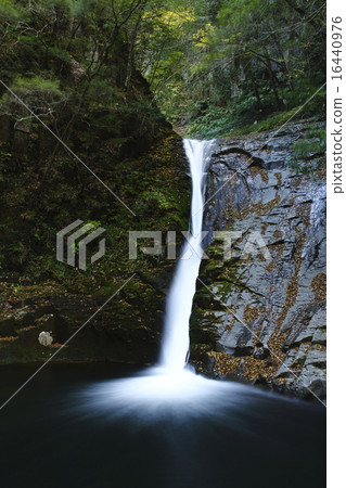 塔基谷 塔基谷 16440976