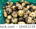土豆 16441238