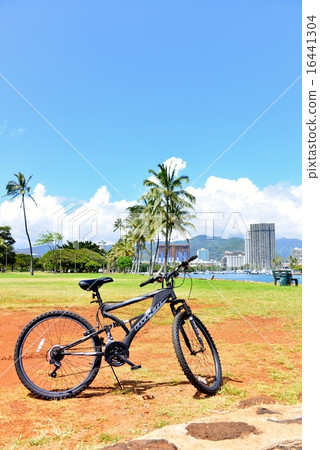 Holidays in Hawaii Holidays in Hawaii 16441304