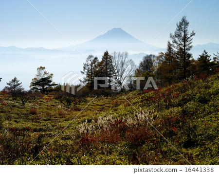 Fuji of Amari Amane Fuji of Amari Amane 16441338