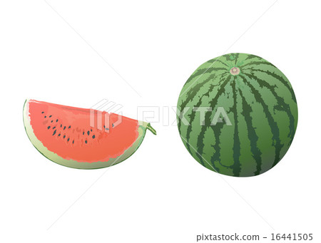 Watermelon illustration Watermelon illustration 16441505