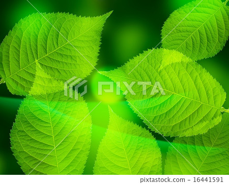 生態圖像背景材料 16441591