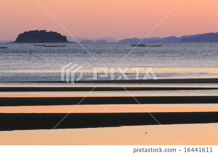 泰德蘭日落 16441611