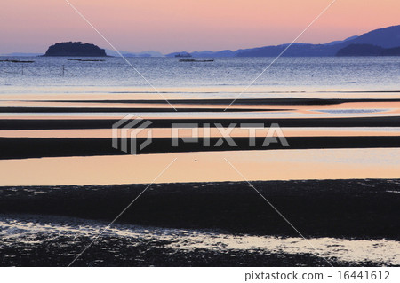 泰德蘭日落 16441612