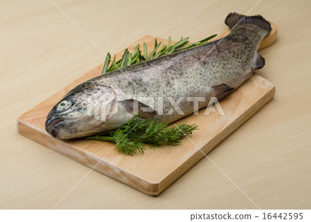 Raw fresh trout 16442595