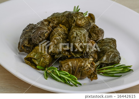 Dolma 16442615