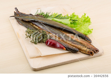 Lamprey Lamprey 16442656