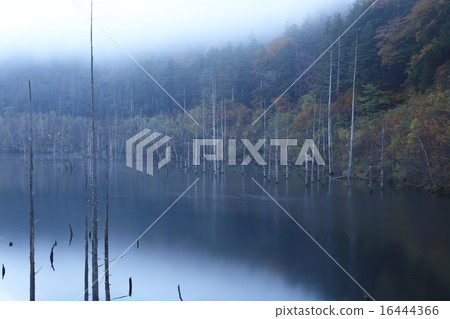 Natural lake Natural lake 16444366